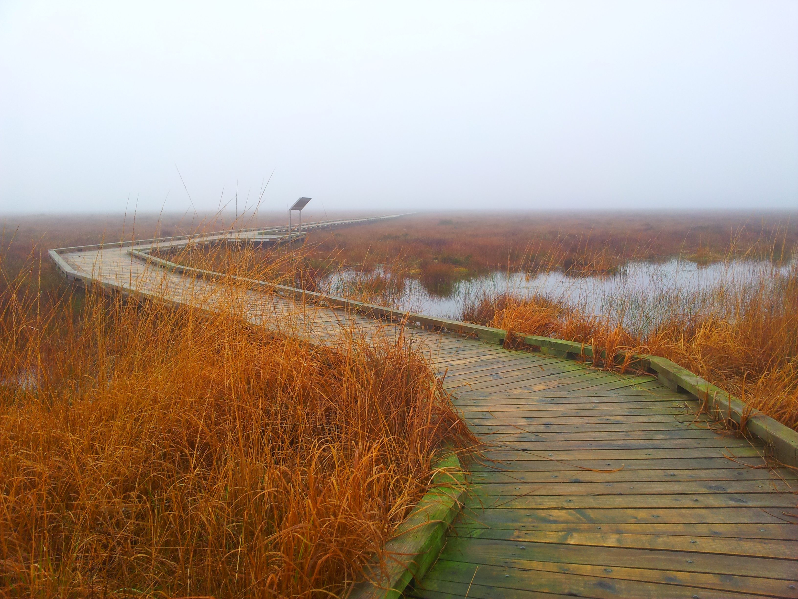 Boardwalk on a November Morning