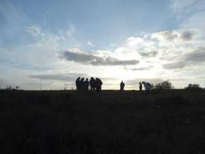 Field Study at Clara Bog