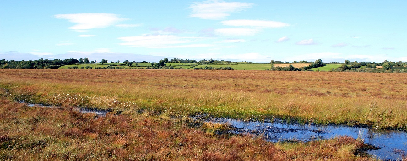 [wpml-string context="clara" name="title1"]Welcome to Clara Bog Nature Reserve[/wpml-string]