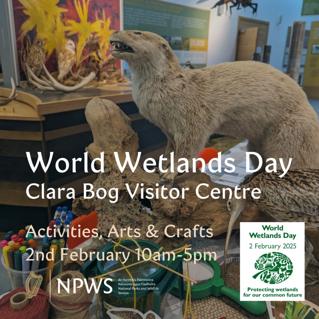 World Wetlands Day 2025 - Clara Bog Nature Reserve